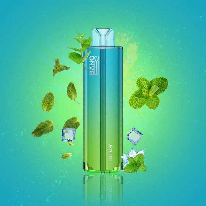 BANG B2 6000 DISPOSABLE VAPE Cool Mint Disposables BANG B2 6000 DISPOSABLE VAPE | Downtown Smokes N Vapes