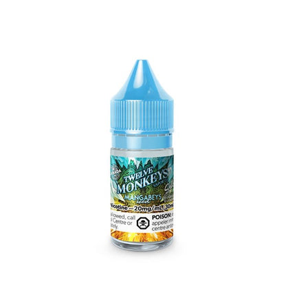 TWELVE MONKEYS ICED SALT NIC 30ML - Downtown Smokes N Vapes